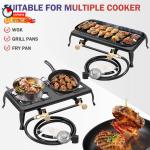 Vivicreate Portable Double Burner Propane Gas Stove