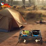 Vivicreate Portable Double Burner Propane Gas Stove