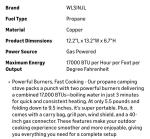 Portable 2-Burner Camp Stove for Outdoor Cooking