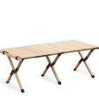 Portable Folding Picnic Table with Carry Bag