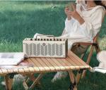 Portable Folding Picnic Table with Carry Bag