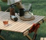 Portable Folding Picnic Table with Carry Bag