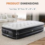 Twin Queen Inflatable Air Mattress with Built-in Pump
