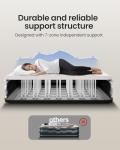 OhGeni Queen Air Mattress with Built-in Pump