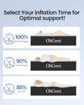 OhGeni Queen Air Mattress with Built-in Pump