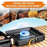 2-Burner Portable Propane Camping Stove with Grill