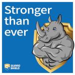 Heavy Duty 12x16 Feet Waterproof Tarp - Green