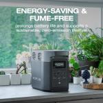 EcoFlow Delta 2 Solar Generator with 220W Panel