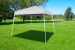 10' x 10' White Slant Leg Canopy