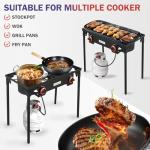 Vivicreate High Pressure Propane Regulator for Camping