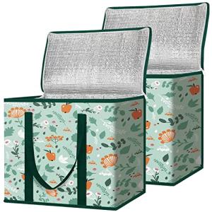 BALEINE 2-Pack Insulated Grocery Cooler Bags
