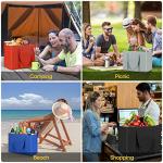 BALEINE 2-Pack Insulated Grocery Cooler Bags