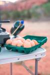 Stansport 12-Egg Carrier for Camping Trips