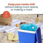 Reusable Ice Packs for Coolers and Lunch Boxes