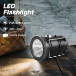 Lichamp Solar Lanterns - Rechargeable Camping Lights 4-Pack