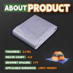 RAINDEWAY Waterproof Multi-Purpose Tarp 2.4 x 3m