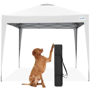 Quictent 10x10 Easy Pop Up Canopy Tent