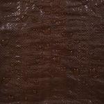 Stansport 8' x 10' Light-Duty Brown Tarp