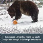 SABRE Bear Safe Food Storage Container, 11.86L