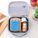 Igloo Maxcold 4-Pack Reusable Ice Blocks