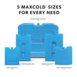 Igloo Maxcold Reusable Ice Blocks - 2 Pack
