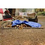 B-Air Grizzly 6' x 8' Heavy Duty Tarp