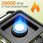 Portable 2-Burner Propane Camping Stove