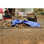 B-Air Grizzly Waterproof Heavy Duty Blue Tarps - 8x10