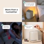 Canopy Bedside Humidifier with Light and Noise