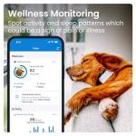 Tractive GPS Dog Collar with Real-Time Tracking