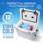 Large Reusable Ice Packs for Coolers (4 Pack)