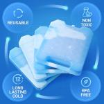 Large Reusable Ice Packs for Coolers (4 Pack)