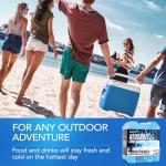 Large Reusable Ice Packs for Coolers (4 Pack)