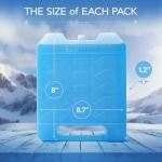 Large Reusable Ice Packs for Coolers (4 Pack)