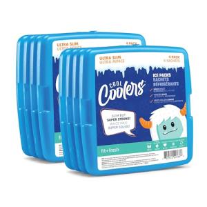 Fit + Fresh Slim Ice Packs - 4 Pack