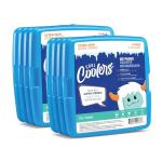 Fit + Fresh Slim Ice Packs - 4 Pack