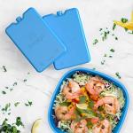 Bentgo Ice Packs - Ultra-Thin Chillers for Lunches