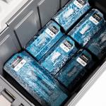 Igloo Reusable Ice Packs for Coolers and Outdoors