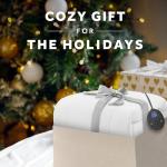 Sunbeam Heated Mattress Pad Queen – 12 Heat Settings