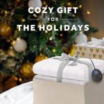 Sunbeam Heated Mattress Pad with 12 Heat Settings