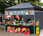 Durable 10x10 Black Pop-Up Canopy Tent