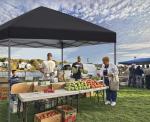 10x10 Pop Up Canopy Tent with Sandbags