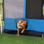 E-Z UP Camping Cube 6.4 Outdoor Tent, Royal Blue
