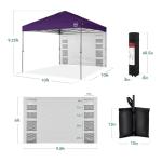 10x10ft Easy Pop Up Canopy with Side Wall