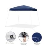 Portable 8x10 Ft Pop Up Canopy Tent
