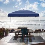 Portable 8x10 Ft Pop Up Canopy Tent