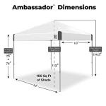 E-Z UP 10' x 10' Instant Pop Up Canopy