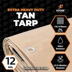 Heavy Duty Tan Poly Tarp - 10' x 15