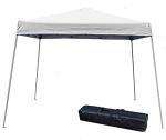 10' x 10' White Slant Leg Canopy