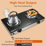 Portable 2 Burner Propane Stove for Camping